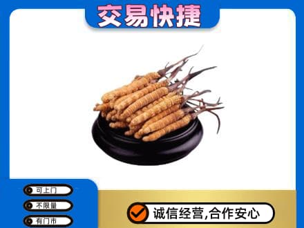 阿坝州马尔康回收冬虫夏草多少钱每克